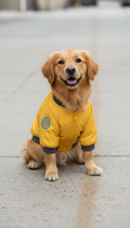 Sunny yellow bomber jacket